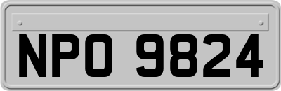 NPO9824
