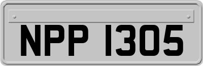 NPP1305