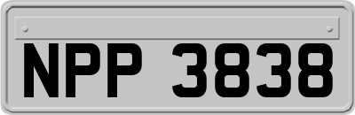 NPP3838
