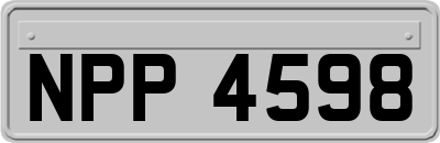 NPP4598