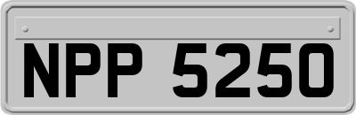 NPP5250