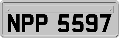 NPP5597