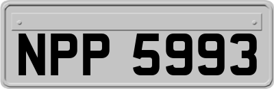 NPP5993