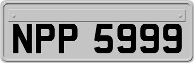 NPP5999