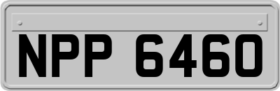 NPP6460
