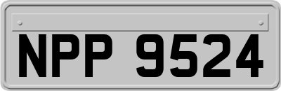 NPP9524