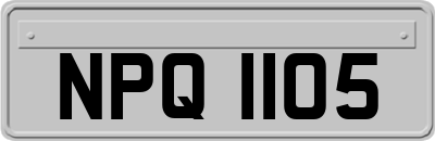 NPQ1105