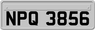 NPQ3856