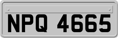NPQ4665