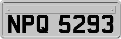 NPQ5293