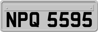 NPQ5595