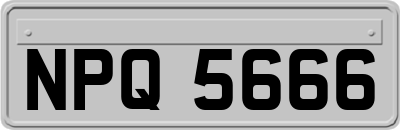 NPQ5666