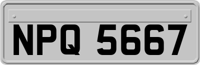 NPQ5667