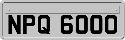 NPQ6000