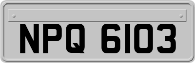 NPQ6103
