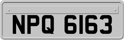NPQ6163