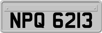 NPQ6213