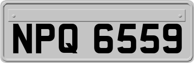 NPQ6559