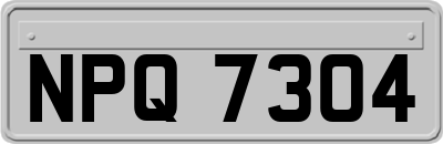 NPQ7304
