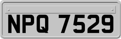 NPQ7529