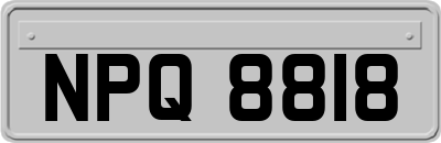 NPQ8818