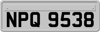 NPQ9538