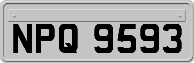 NPQ9593