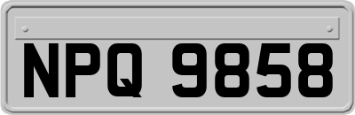 NPQ9858