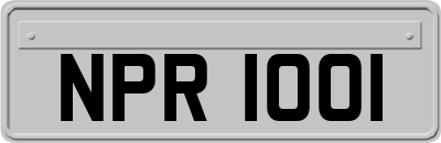 NPR1001
