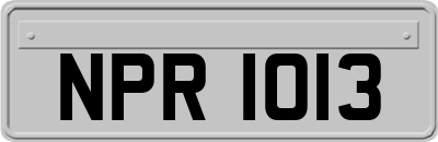 NPR1013