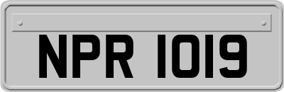NPR1019