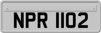 NPR1102