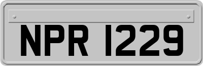 NPR1229