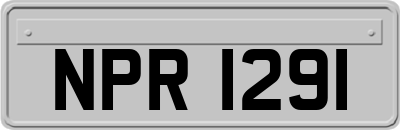 NPR1291