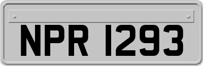 NPR1293