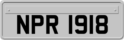 NPR1918