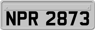 NPR2873