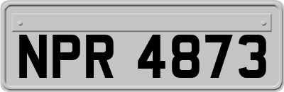 NPR4873