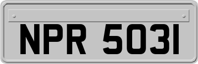 NPR5031