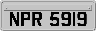 NPR5919