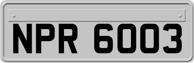 NPR6003