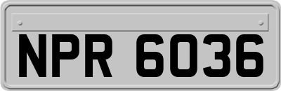 NPR6036