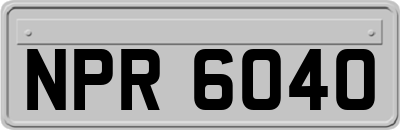 NPR6040