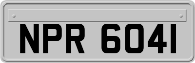 NPR6041