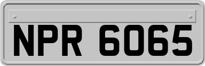 NPR6065