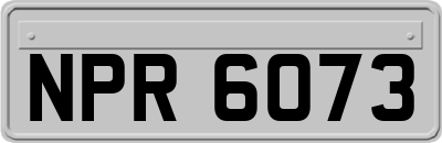 NPR6073