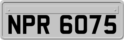 NPR6075