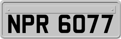 NPR6077