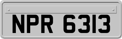 NPR6313