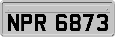 NPR6873